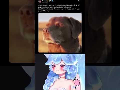 I'm Sorry For Barking ? thumbnail