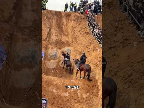말이 가파른 언덕을 오를 수 있을까요? thumbnail