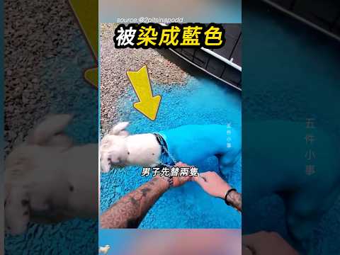 全場早已知道答案🐶 thumbnail