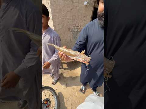 Darya ki Fish Selab k Area main #fish #food #foodie #shorts thumbnail