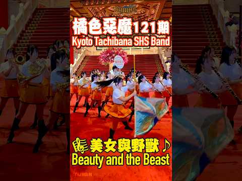 橘色惡魔121期♩Beauty And The Beast♩美女と野獣  Kyoto Tachibana SHS Band#京都橘#マーチング#オレンジの悪魔#ローズパレード#台灣#圓山飯店 thumbnail
