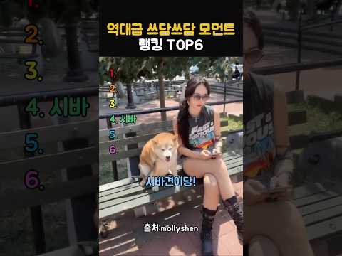 역대급 쓰담쓰담 모먼트 랭킹 TOP6 thumbnail