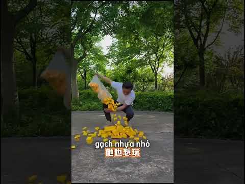 Ba làm bể câu cá cho con trai? thumbnail