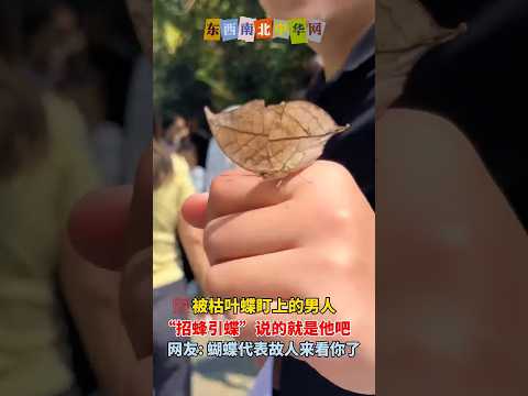 “招蜂引蝶”说的就是他吧 thumbnail