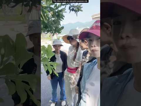 MAKAN BUAH LANGSUNG DARI POHONNYA😱 thumbnail