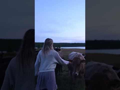 POV: The Cows Love When You Sing To Them thumbnail