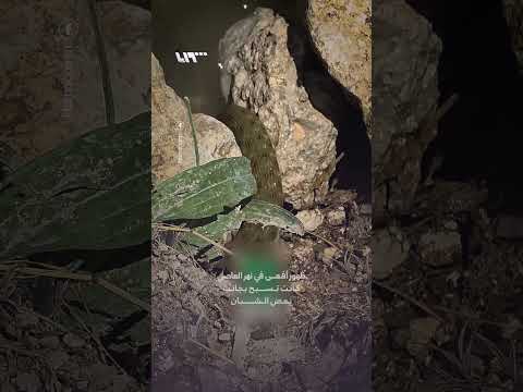 ظهور أفعى في نهر العاصي thumbnail