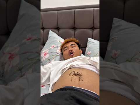 Tidur papa digigit laba thumbnail