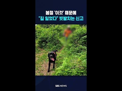 열일하는 '나르샤'.."고사리만 쫓다가 그만" #shorts thumbnail