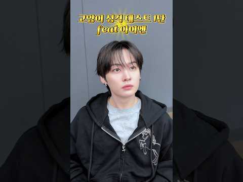 우리집 고양이 착한 이유: 이런 영상 같이 찍어 줌 #StrayKids #스트레이키즈 #리노 #LeeKnow #YouMakeStrayKidsStay thumbnail