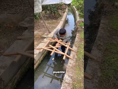 Construyó Un Puente Que Se Hace Más Fuerte Con El Peso thumbnail