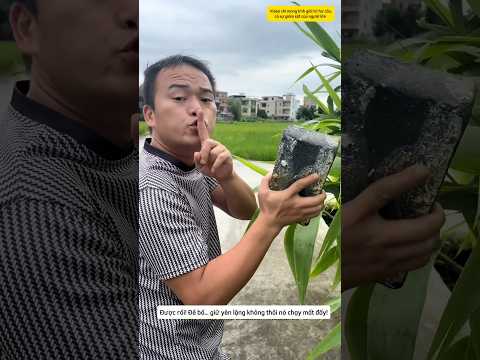 Ông bố nhặt được vật thể lạ dưới nước thumbnail