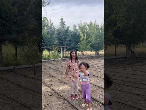 Hava çok sıcaktı kızları sırılsıklam ıslattım😂 #aboneolmayiunutmayin #keşfetbeniöneçıkar #funny thumbnail