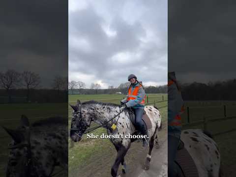 Three different students, one thing in common. #alevels #distancelearning #studywithfriends #gcse thumbnail