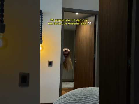 Dayanara se PASÓ con esto 😂😍 thumbnail