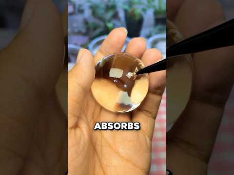 What Happens When You Plant a Seed in Jelly? 🤯 thumbnail