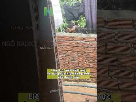 Liên tục mất khô mực cô gái phát hiện hàng xómgần hàng rào thumbnail