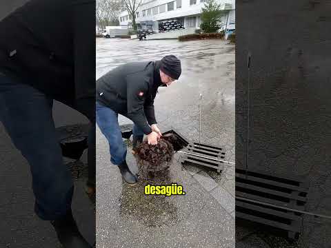 Solución Contra Inundaciones 🌧️ thumbnail