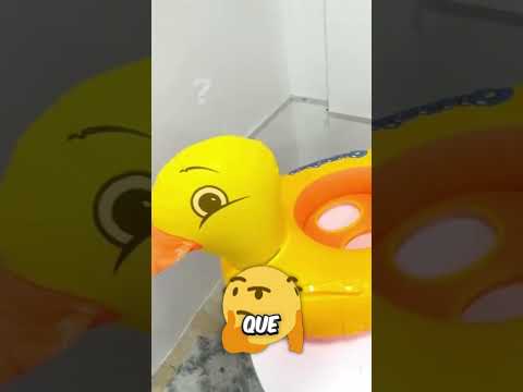 Pata madre salvó a su perro del update de agua con un pato thumbnail