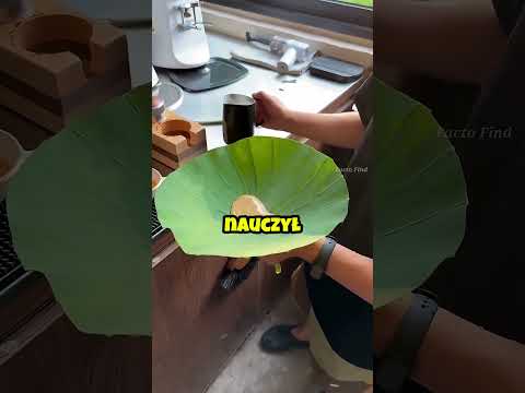 Kawa na liściu lotosu! ☕ thumbnail