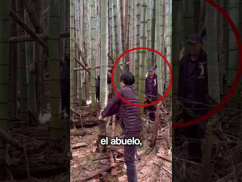 El abuelo sorprendió al nieto con una Katana Japonesa thumbnail