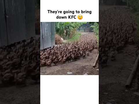 They have an army 😲 thumbnail