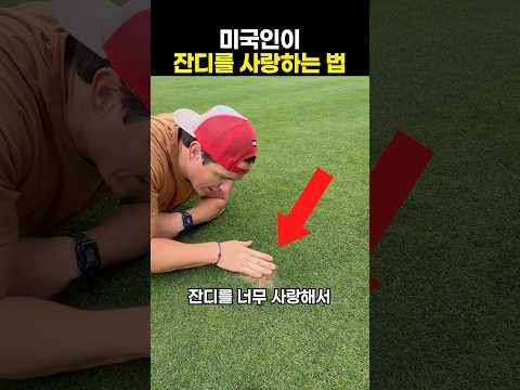 미국인이 잔디를 사랑하는 법 thumbnail
