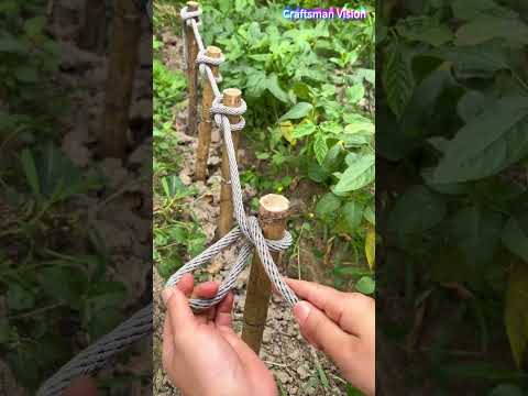 Practical rope knotting skills for log supports thumbnail