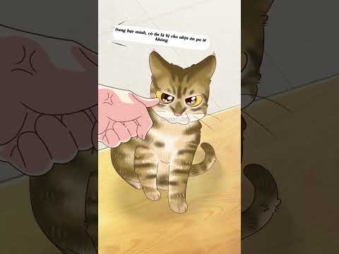 Bé mèo khá lì lợm đó nha! thumbnail