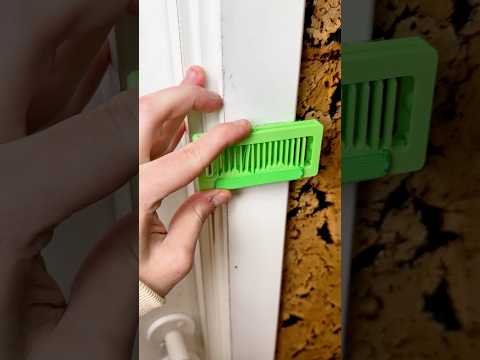 3D Printed Doorbell to Crazy Insect 😭 thumbnail