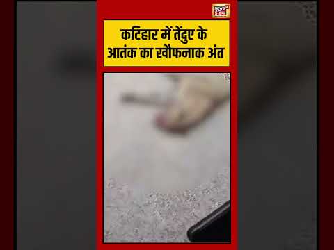 Viral Video | Katihar में तेंदुए के आतंक का खौफनाक अंत | #shorts thumbnail