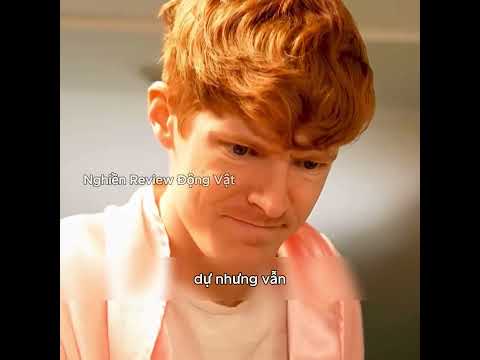 Bất cứ thứ gì mà người đàn ông chạm vào đều sẽ co nhỏ lại. thumbnail