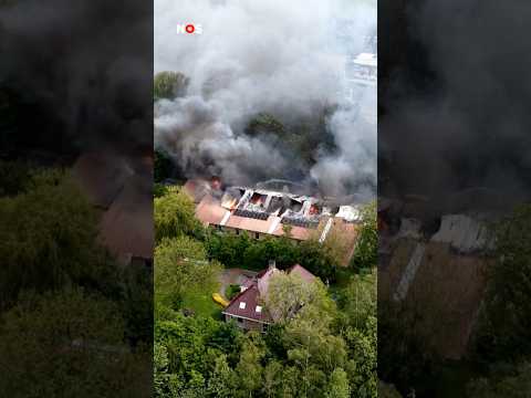 De brand was in dierenpark SanjesZoo in Friesland  thumbnail