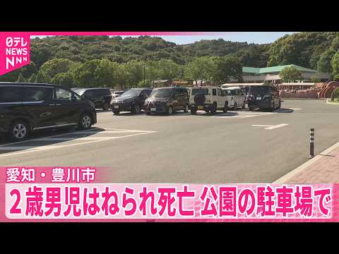 【車にはねられ】2歳男児が死亡  運転の82歳男を逮捕  愛知・豊川市 thumbnail