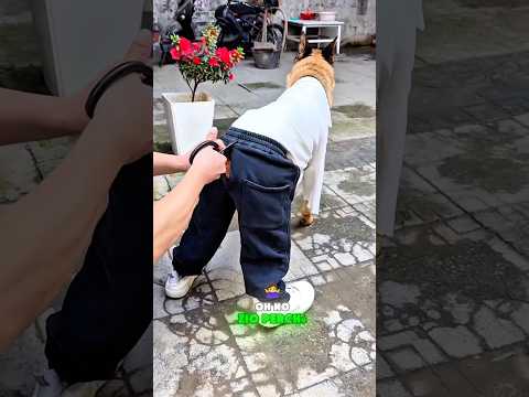 Operazione Libertà della Coda ?✂️? thumbnail