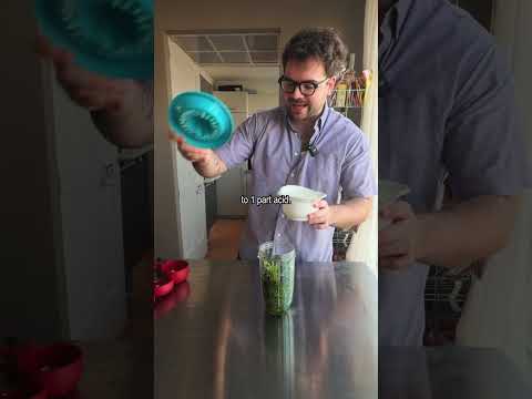 What to do with leftover herbs? thumbnail