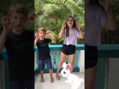 little bunny fufu #kidssong thumbnail