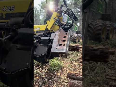 Power in Action: Harvester 1270G at Work #forest #harvester #johndeere #wood #lumberjack #forestry thumbnail