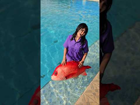 kk ade ngajakin berenang ikan #trandingshorts thumbnail