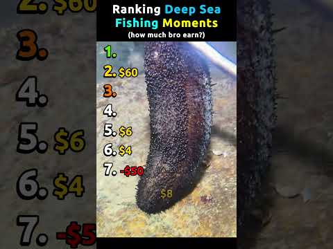 Ranking Deep Sea Fishing Moments Pt.12 | How much bro earn? #deepseaexploration thumbnail