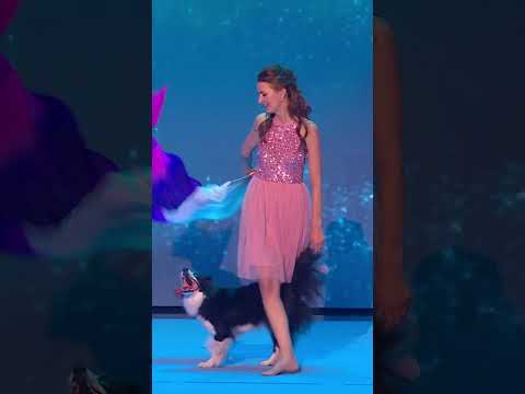 We could watch Anastasiia & Salsa for an eternity 🥰 #BGT #BritainsGotTalent thumbnail