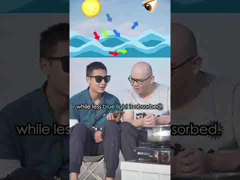 Boil Seawater ??… You Won’t Believe How Much Salt This Makes! ? [REPO] thumbnail
