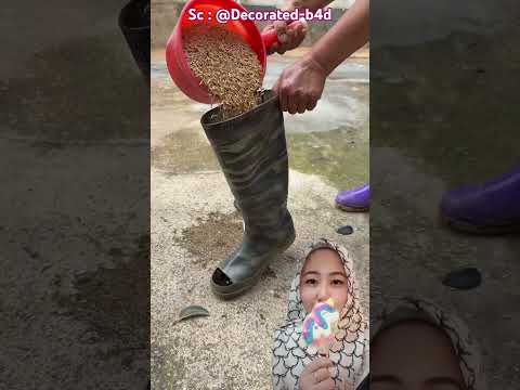 Tempat Makan Bebek Pakai Sepatu Boats ⁉️😳 @Decorated-b4d thumbnail