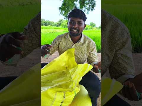 🤣 ఇలాంటి వాళ్ళని ఏంచేయాలి 🤣😂#shortsfeed #villagethalaivas #funnyshorts #ytshorts #comedyvideos #2025 thumbnail