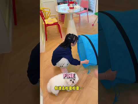 The Cat Went Into the Pipe    But Who Came Out?! thumbnail