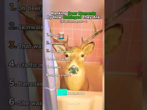 Ranking Deer Moments by How Unhinged They Are thumbnail