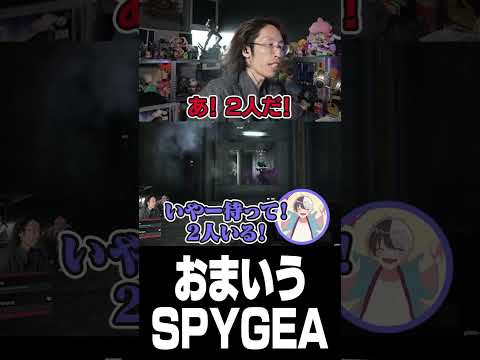 おまいうSPYGEA thumbnail