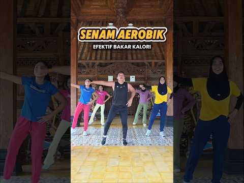 BAKAR LEMAK DAN KALORI AEROBIK PEMULA thumbnail