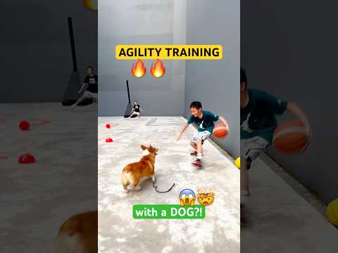 PARTNER AGILITY TRAINING with a DOG?! 😱🤯 SUPER FAST #shorts #speedandagility #exercise thumbnail