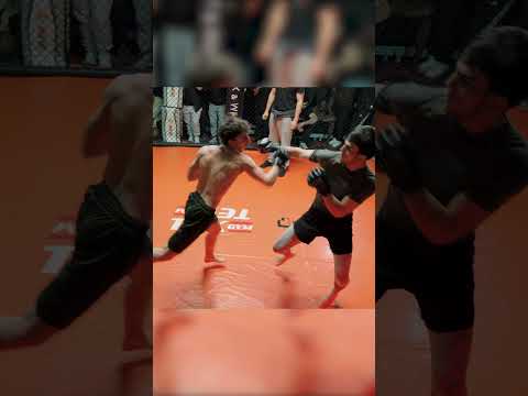 EPIC KO !! 🇫🇷 VS 🇧🇪 !!  #YFC #mma #combat #fight thumbnail